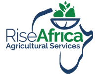 RiseAfricanew